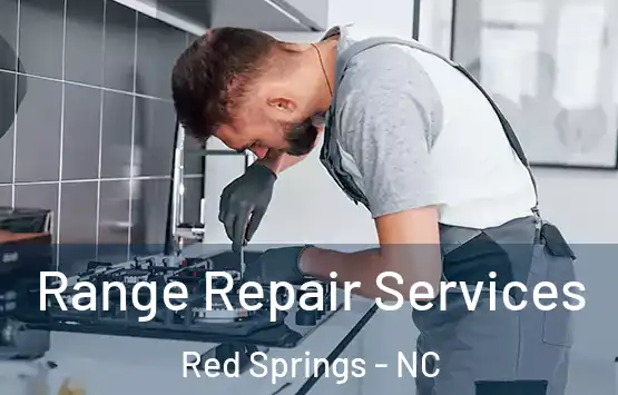  Range Repair Services Red Springs - NC