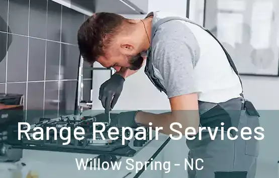  Range Repair Services Willow Spring - NC