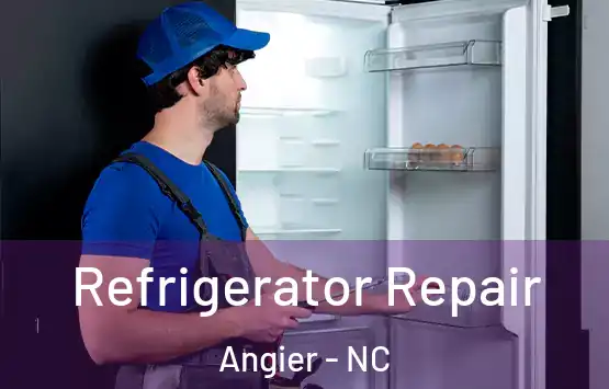  Refrigerator Repair Angier - NC