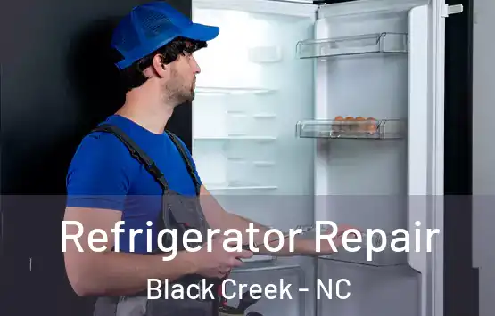  Refrigerator Repair Black Creek - NC