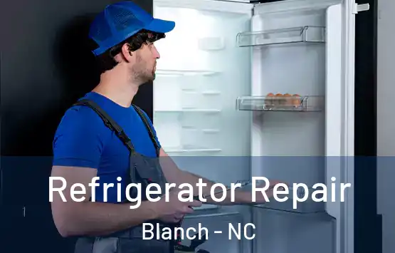  Refrigerator Repair Blanch - NC