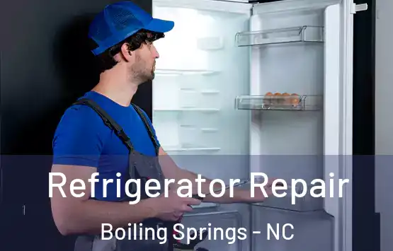  Refrigerator Repair Boiling Springs - NC