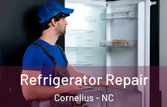  Refrigerator Repair Cornelius - NC