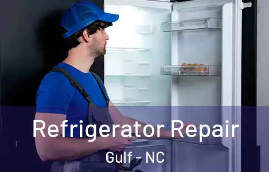  Refrigerator Repair Gulf - NC