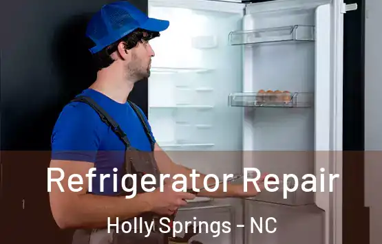  Refrigerator Repair Holly Springs - NC