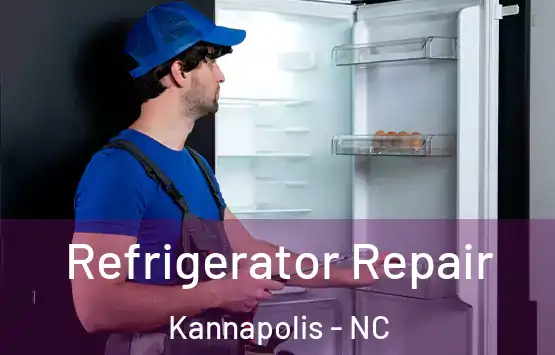  Refrigerator Repair Kannapolis - NC