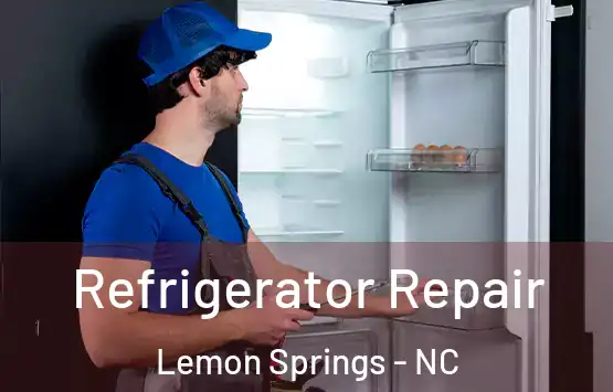 Refrigerator Repair Lemon Springs - NC