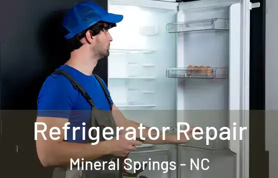  Refrigerator Repair Mineral Springs - NC