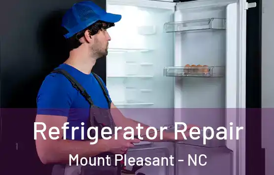  Refrigerator Repair Mount Pleasant - NC