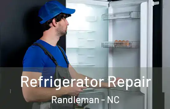  Refrigerator Repair Randleman - NC