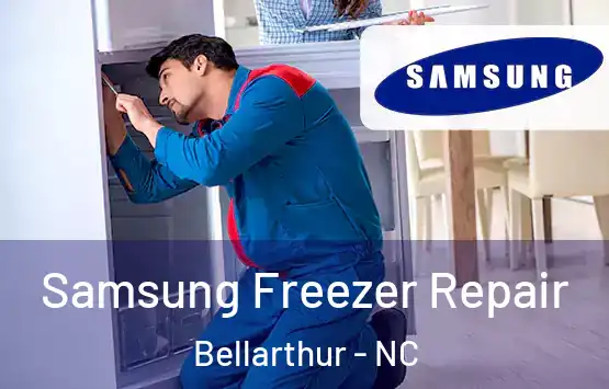  Samsung Freezer Repair Bellarthur - NC