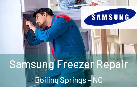  Samsung Freezer Repair Boiling Springs - NC