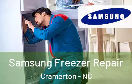  Samsung Freezer Repair Cramerton - NC