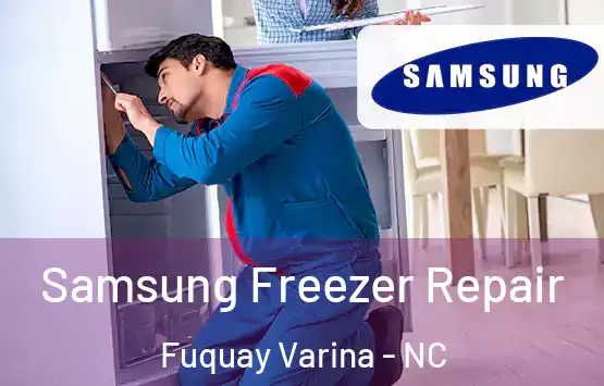  Samsung Freezer Repair Fuquay Varina - NC