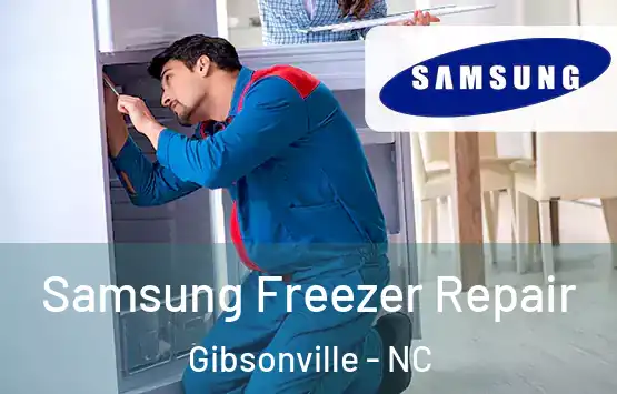  Samsung Freezer Repair Gibsonville - NC