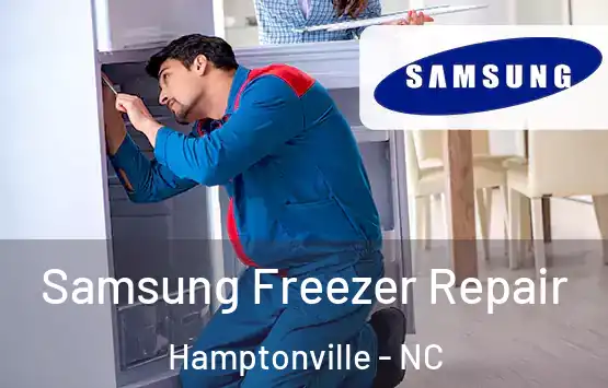  Samsung Freezer Repair Hamptonville - NC