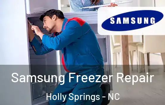  Samsung Freezer Repair Holly Springs - NC
