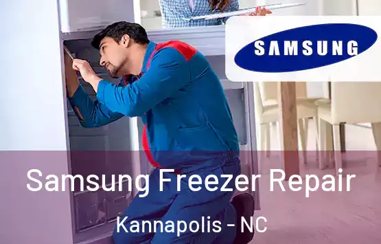  Samsung Freezer Repair Kannapolis - NC