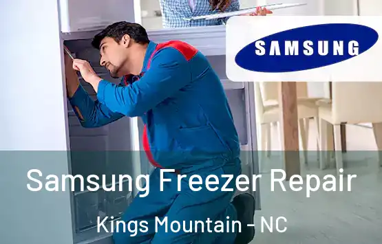  Samsung Freezer Repair Kings Mountain - NC