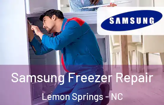  Samsung Freezer Repair Lemon Springs - NC