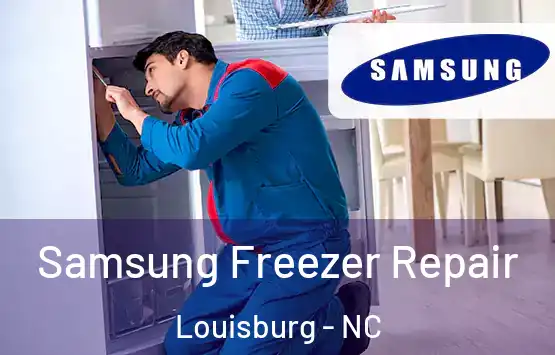  Samsung Freezer Repair Louisburg - NC