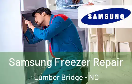  Samsung Freezer Repair Lumber Bridge - NC
