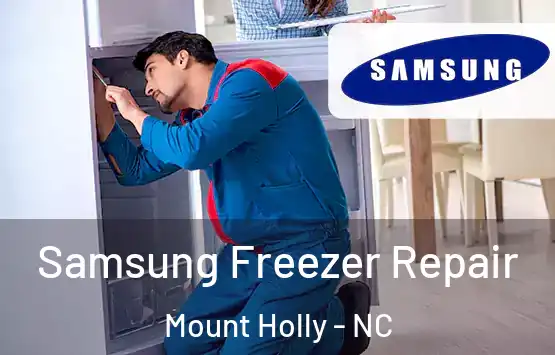 Samsung Freezer Repair Mount Holly - NC