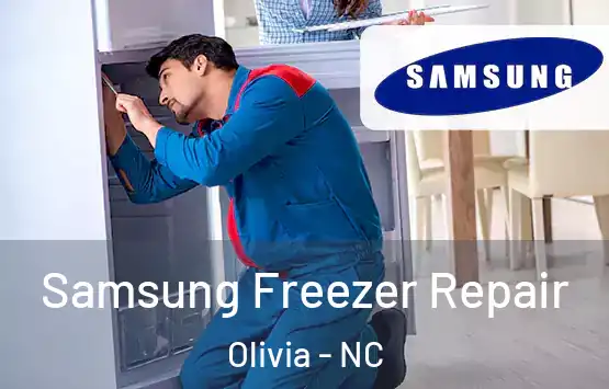  Samsung Freezer Repair Olivia - NC