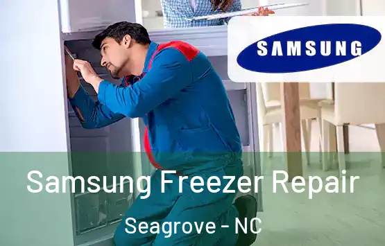  Samsung Freezer Repair Seagrove - NC