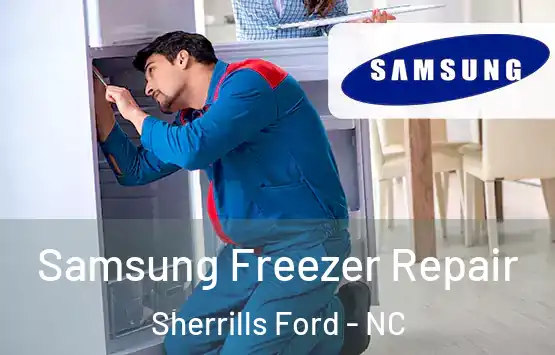  Samsung Freezer Repair Sherrills Ford - NC