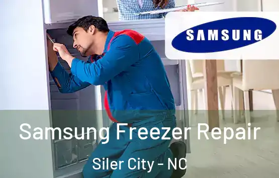  Samsung Freezer Repair Siler City - NC
