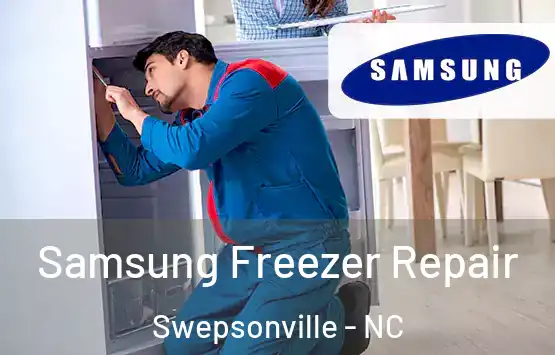  Samsung Freezer Repair Swepsonville - NC