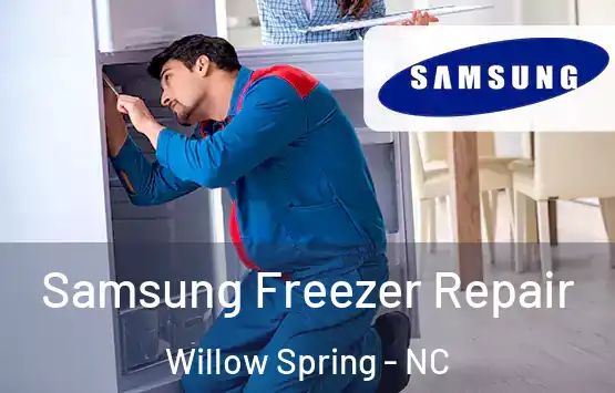  Samsung Freezer Repair Willow Spring - NC