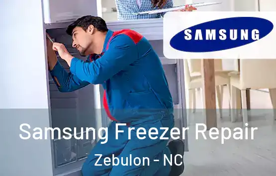  Samsung Freezer Repair Zebulon - NC