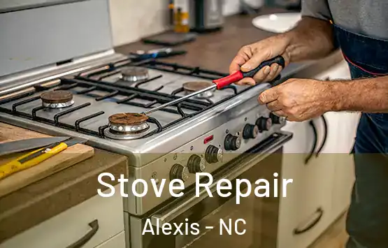  Stove Repair Alexis - NC