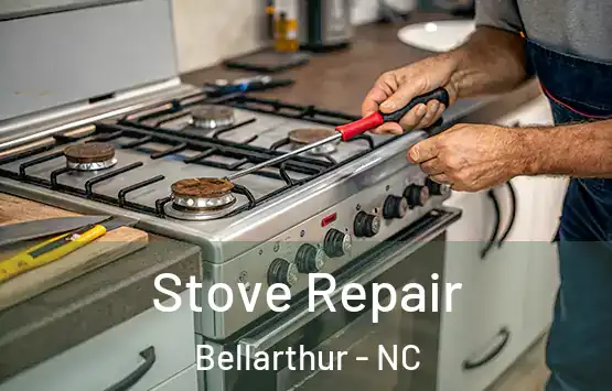  Stove Repair Bellarthur - NC
