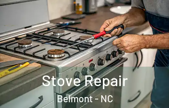  Stove Repair Belmont - NC