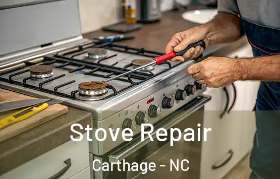  Stove Repair Carthage - NC
