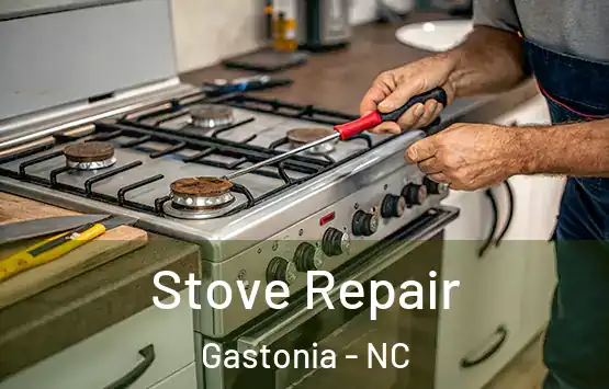  Stove Repair Gastonia - NC