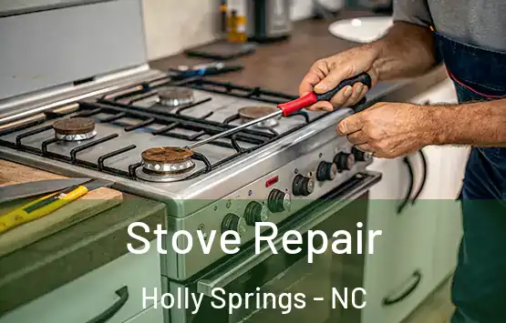  Stove Repair Holly Springs - NC