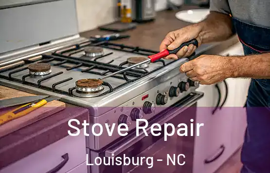  Stove Repair Louisburg - NC