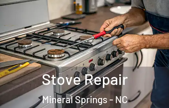  Stove Repair Mineral Springs - NC