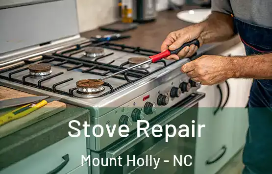  Stove Repair Mount Holly - NC