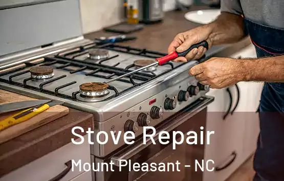  Stove Repair Mount Pleasant - NC