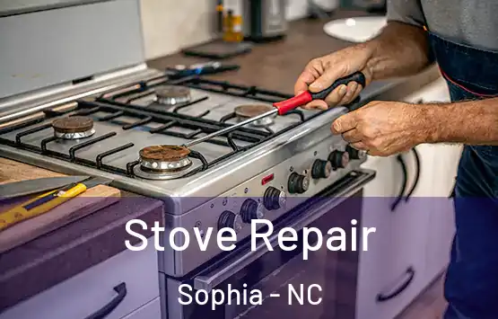  Stove Repair Sophia - NC