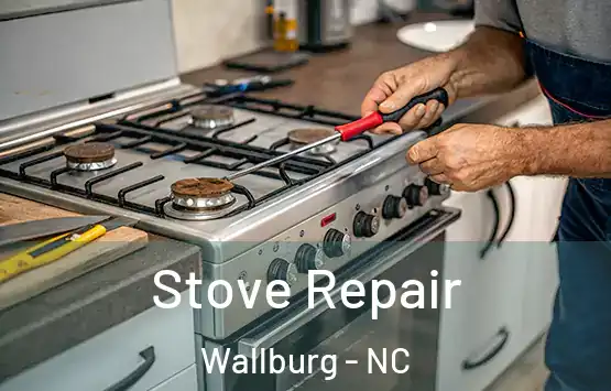  Stove Repair Wallburg - NC