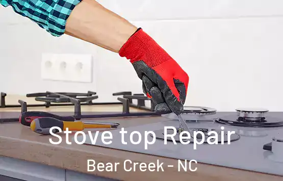  Stove top Repair Bear Creek - NC