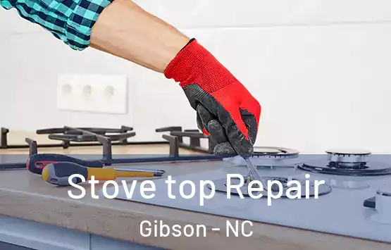  Stove top Repair Gibson - NC