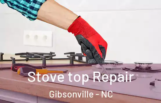  Stove top Repair Gibsonville - NC