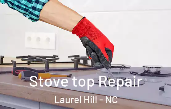  Stove top Repair Laurel Hill - NC